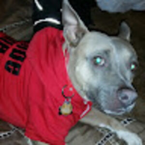 Meet your Posher, Sl